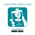 Männlicher Beckenschnitt, verkleinert – EZ Augmented Anatomy